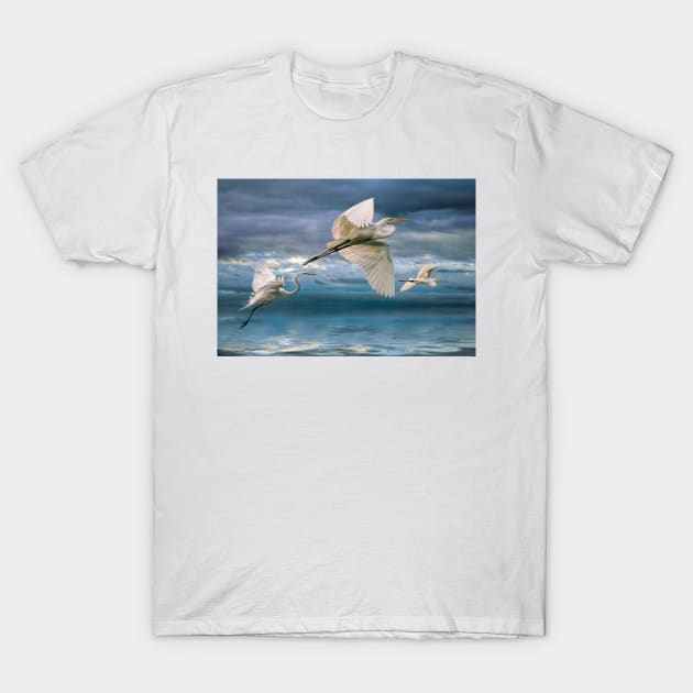 Night Flight T-Shirt by Tarrby